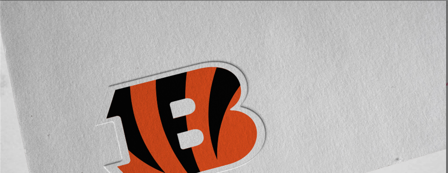 3 Winning Lessons Businesses Can Learn From the Cincinnati Bengals' Social  Media Pages